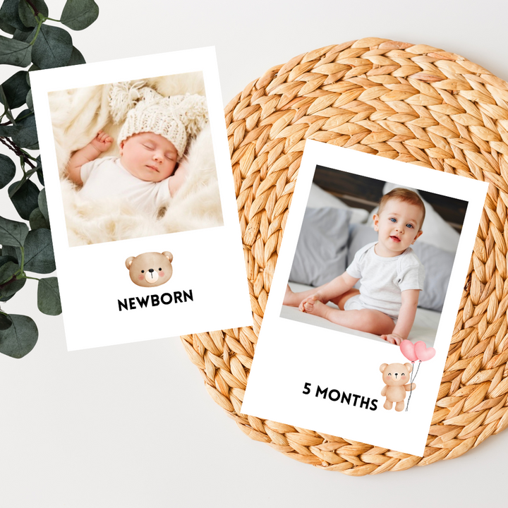 12 Month Photo Banner, Bear - Digital download