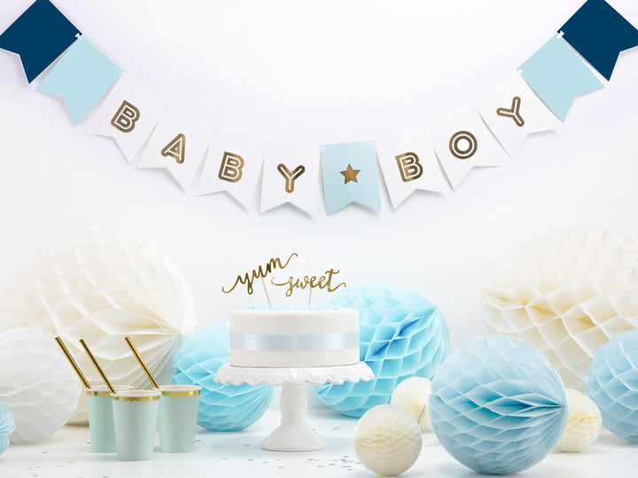 Baby Boy Banner